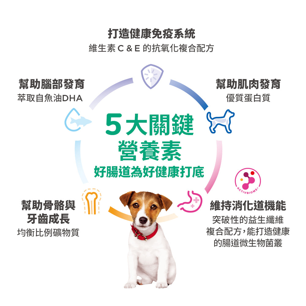 希爾思寵物食品 大型幼犬