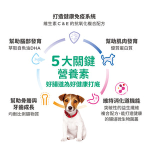 希爾思寵物食品 大型幼犬
