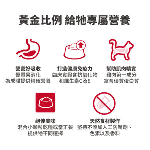 希爾思寵物食品 成貓 健康美饌 主食罐 雞肉 [六入/盒]