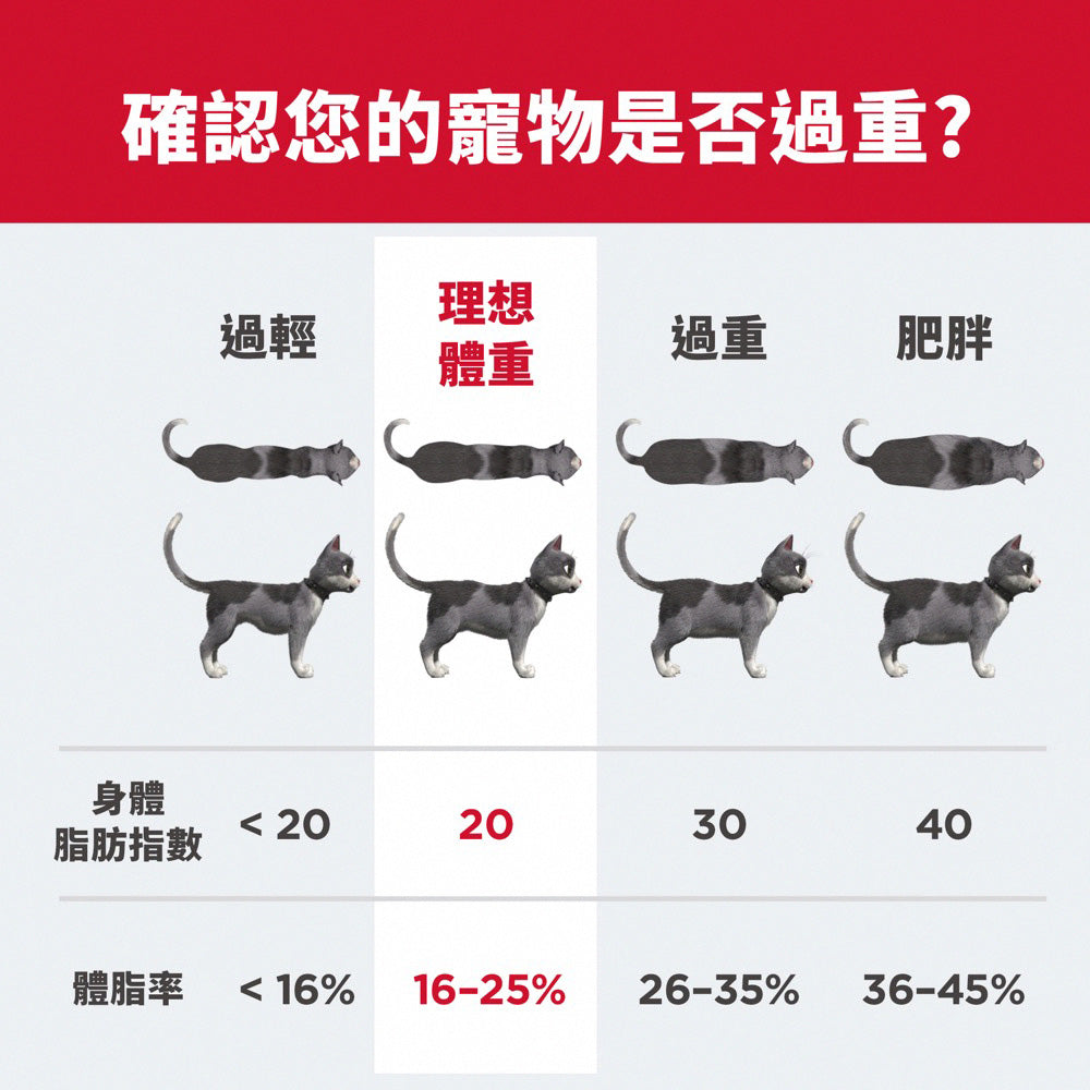 希爾思寵物食品 成貓 完美體重