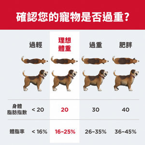 希爾思寵物食品 小型及迷你成犬 完美體重
