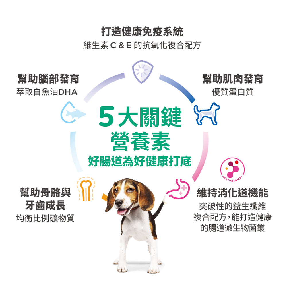 希爾思寵物食品 幼犬