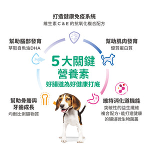 希爾思寵物食品 幼犬