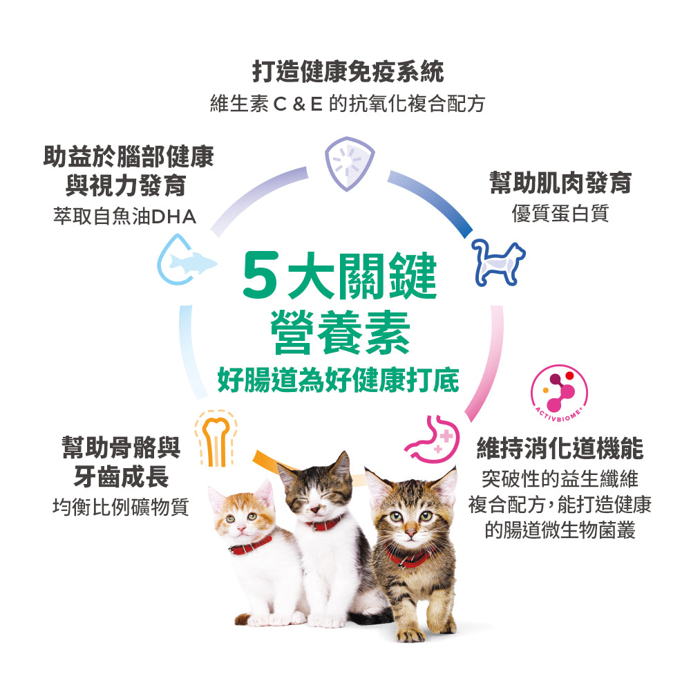 希爾思寵物食品 幼貓