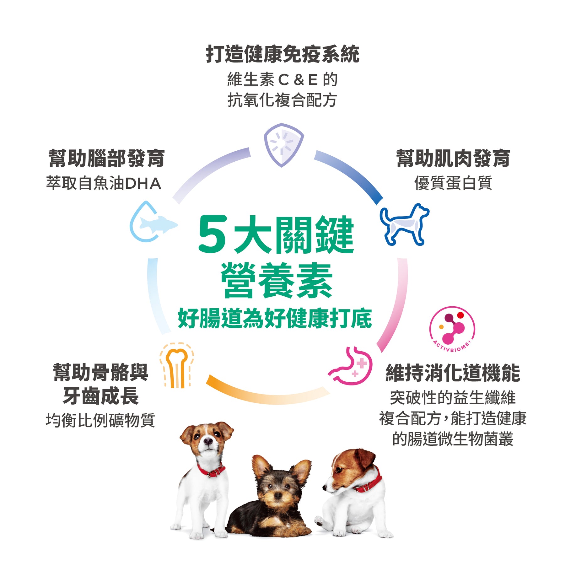 希爾思寵物食品 小型及迷你幼犬