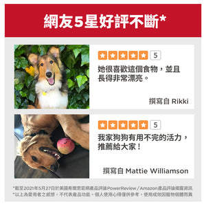 希爾思寵物食品 大型幼犬