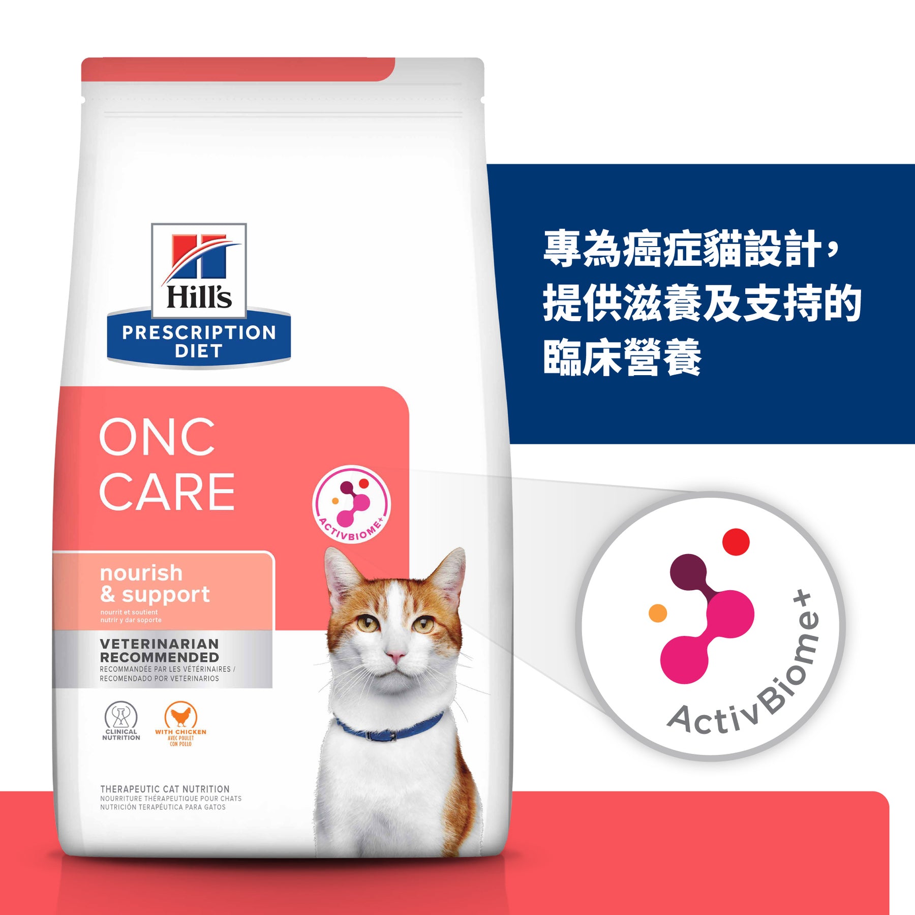 希爾思處方食品 貓用 腫瘤營養照護