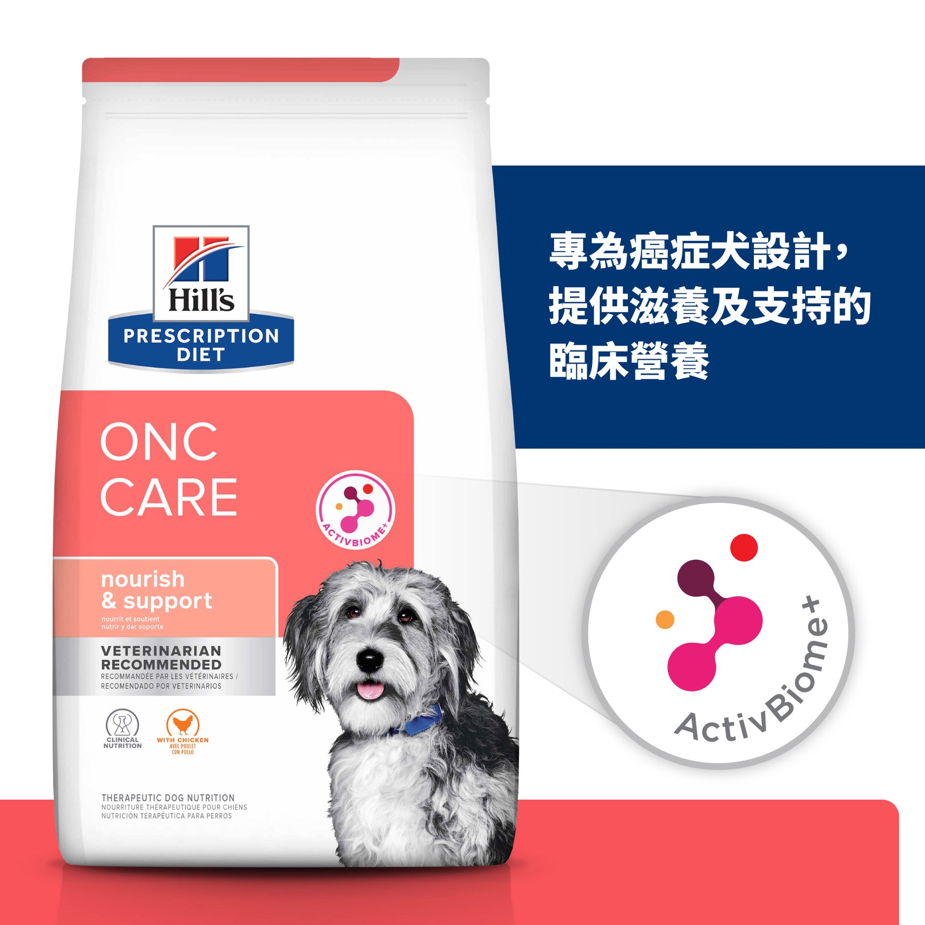 希爾思處方食品 犬用 腫瘤營養照護