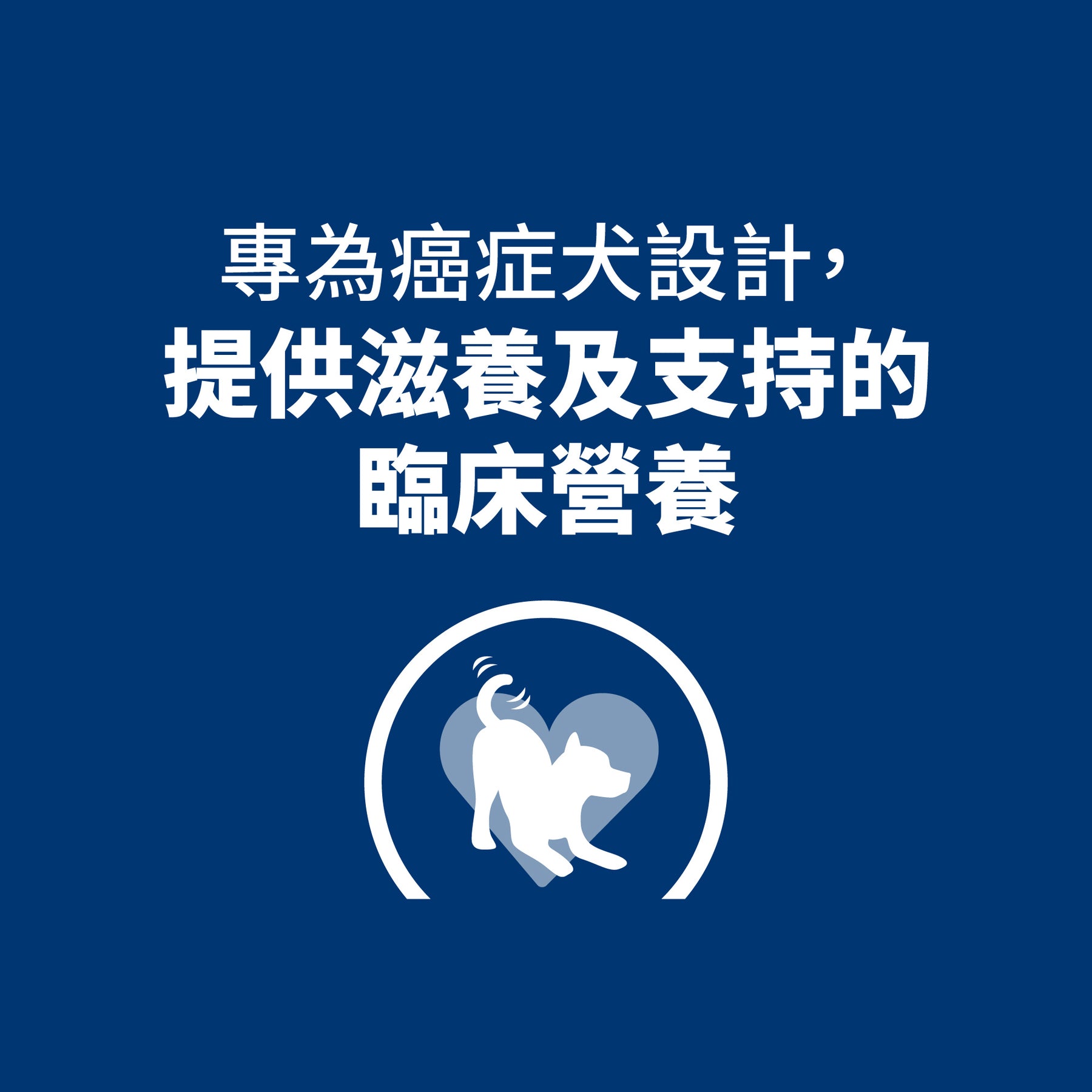 希爾思處方食品 犬用 腫瘤營養照護
