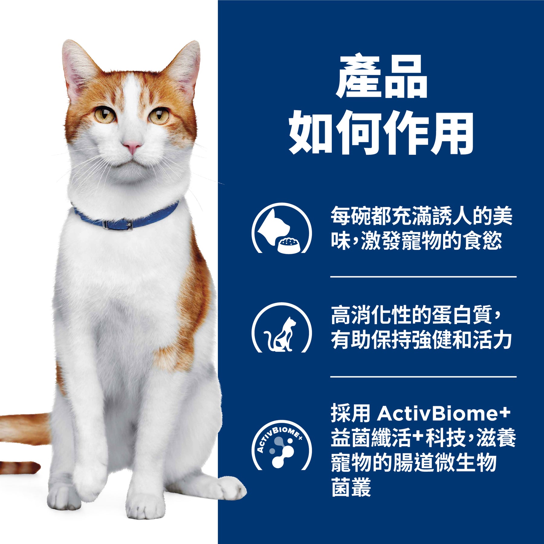 希爾思處方食品 貓用 腫瘤營養照護