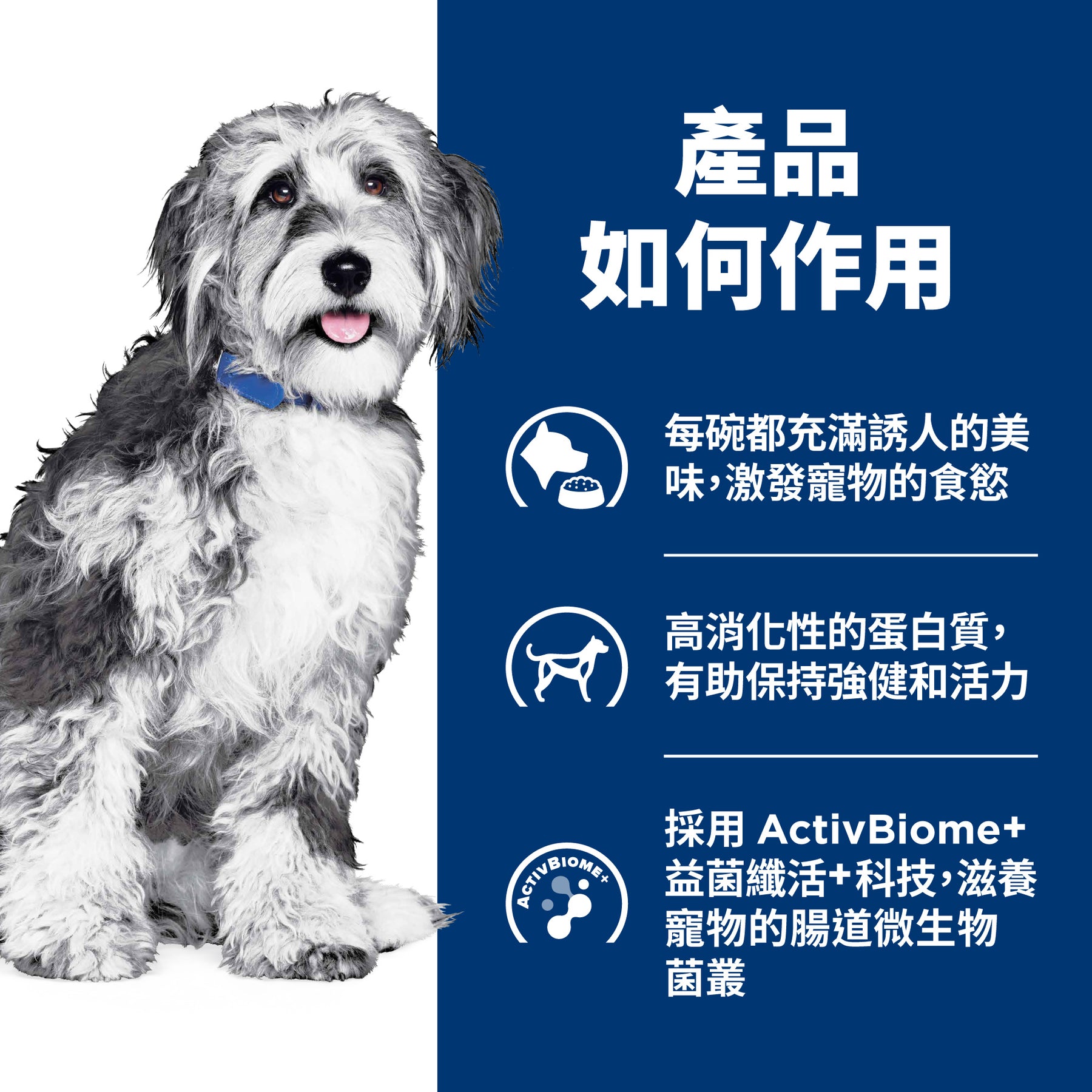 希爾思處方食品 犬用 腫瘤營養照護