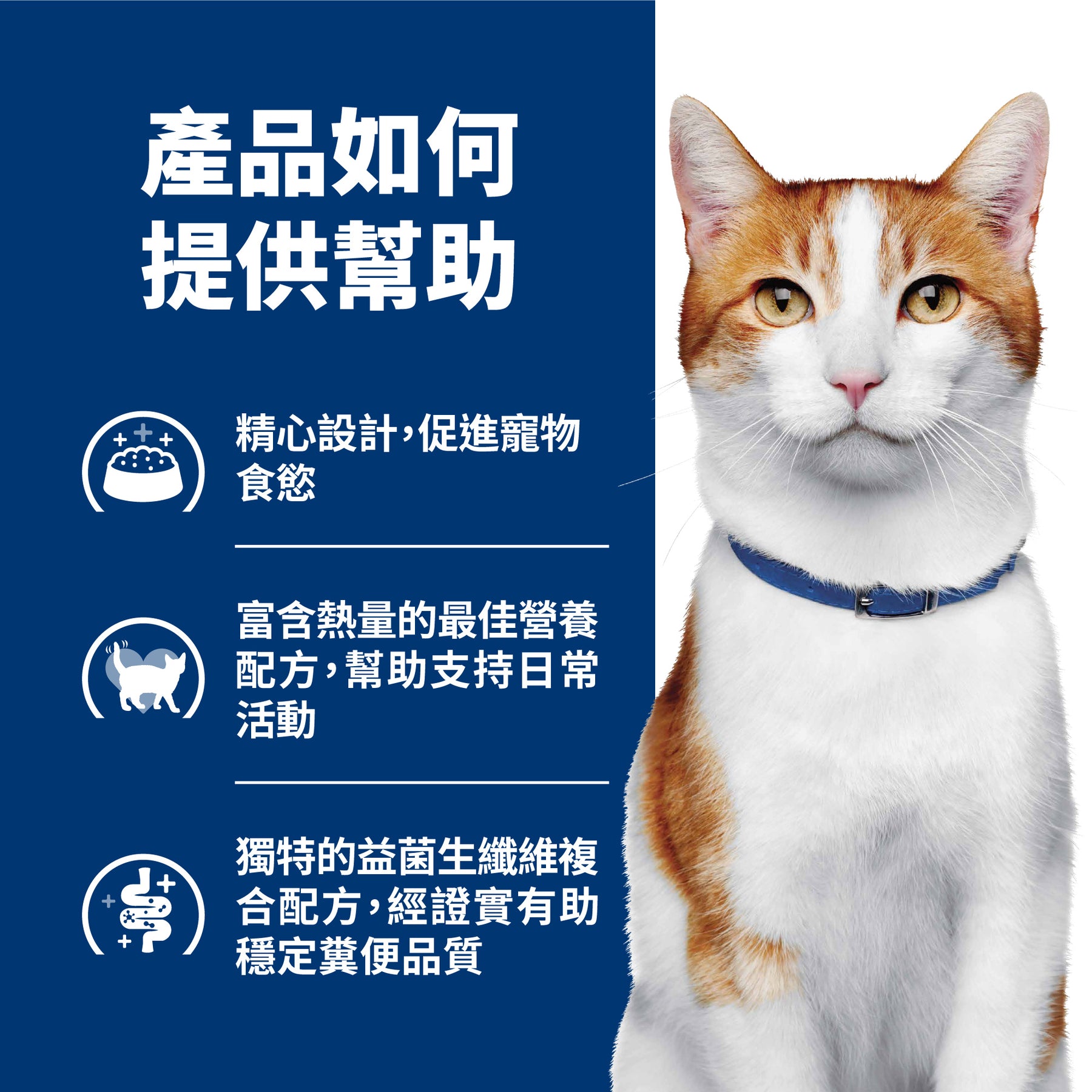 希爾思處方食品 貓用 腫瘤營養照護