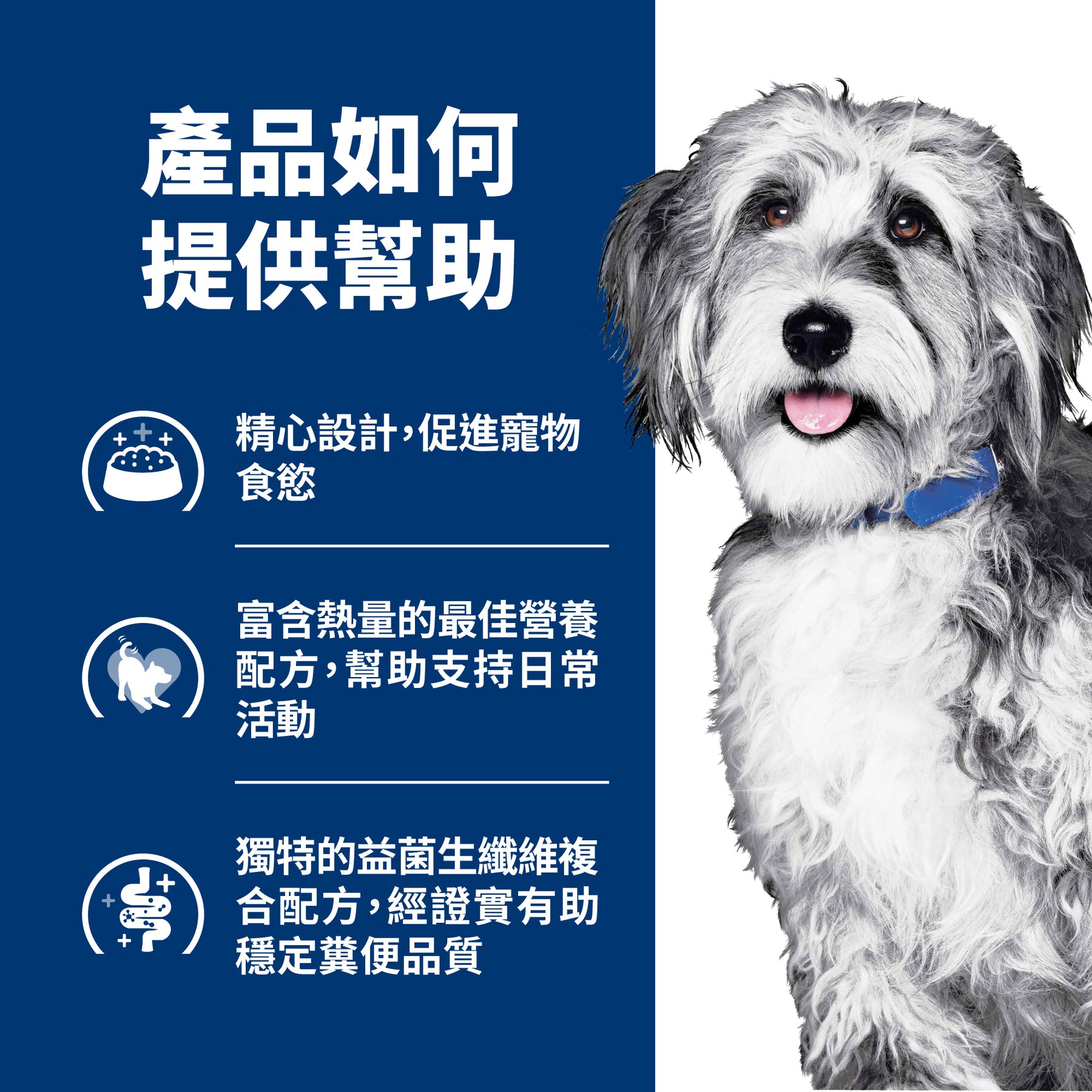 希爾思處方食品 犬用 腫瘤營養照護